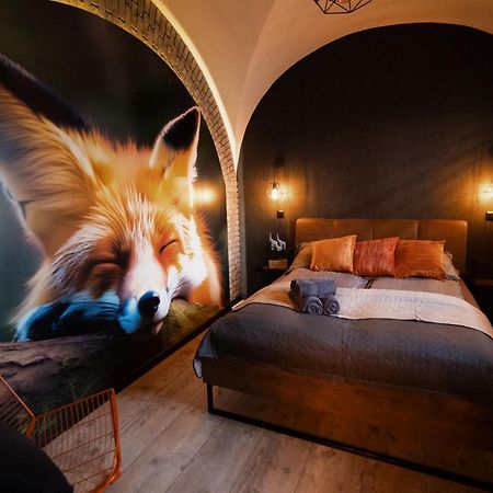 Lisia Nora Apartment Klodzko Bagian luar foto